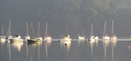 Dittisham Moorings